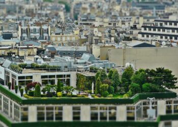 Ogród na dachu płaskim