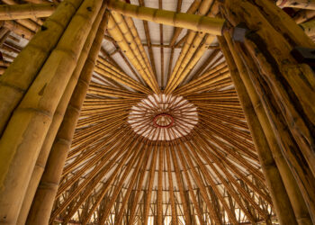 Bambus w budownictwie: Właściwości i zastosowanie jako eko-materiał