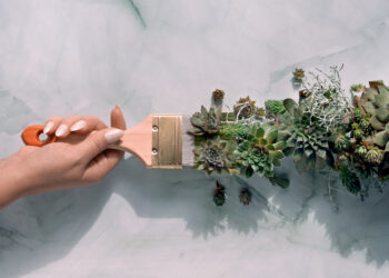 Ekologiczne farby i lakiery – bezpieczne dla zdrowia